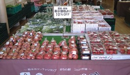 旬ないちご＆いちごサンド、スムージー販売中