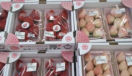 月曜＆火曜は農産物　お得デー！！